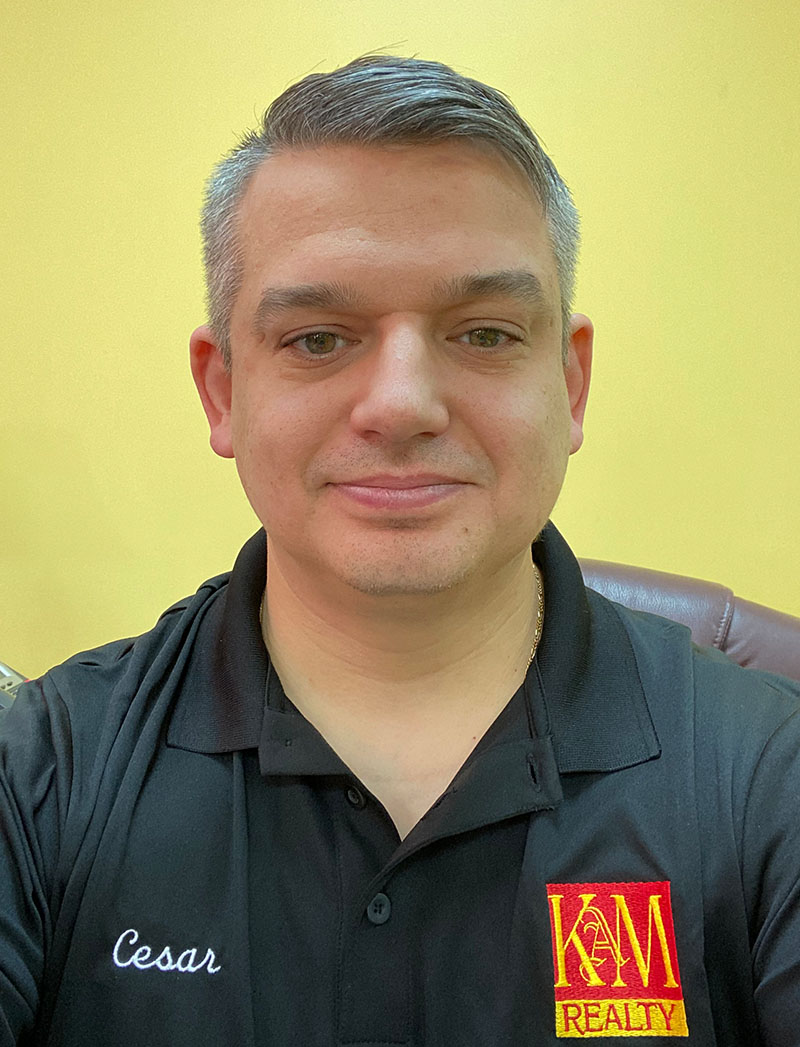 Real estate Agent